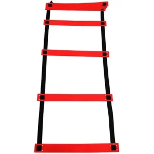 نردبان چابکی نایک 3 متری به همراه کاور